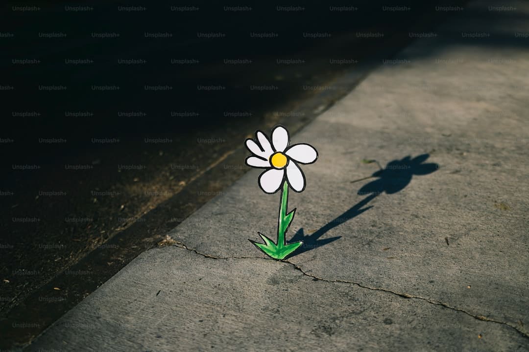 降息之下怎么让财物装备逆风翻盘？
